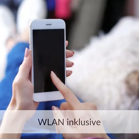 Strandvilla Haffkrug Lachmöwe Scharbeutz