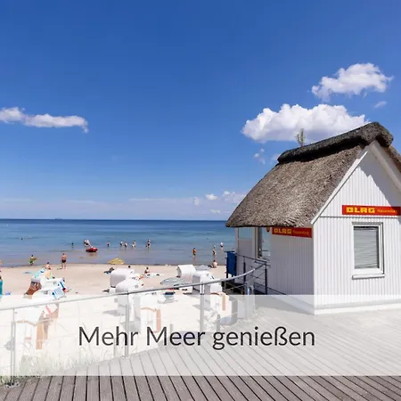 Strandvilla Haffkrug Lachmoewe *